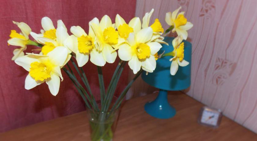 Гостиница Art-apartment Hostel Краснодар-10